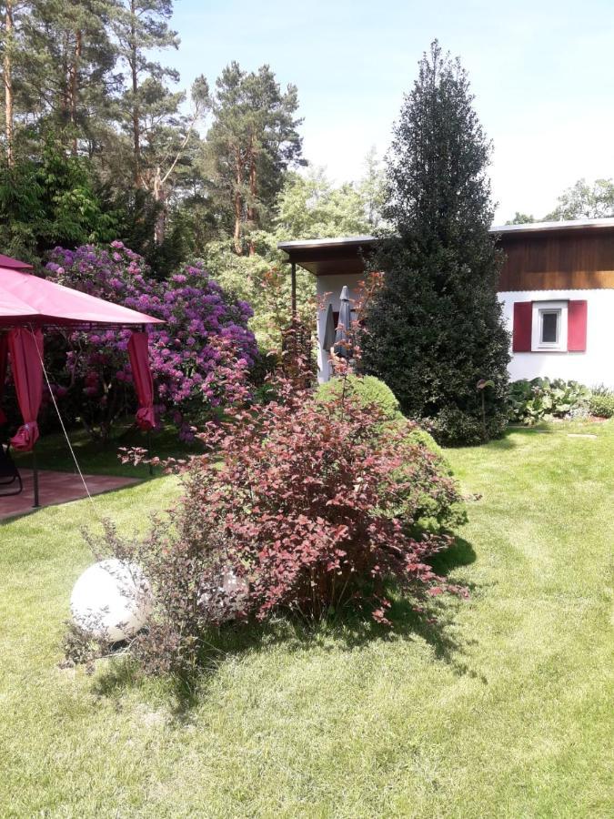Ferienhaus Am Langen See Heidesee Exterior foto
